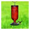 16 Oz Hummingbird Feeder Bird Seed