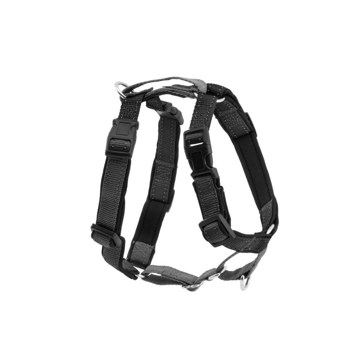 3 In 1 Harness Collars & Leashes