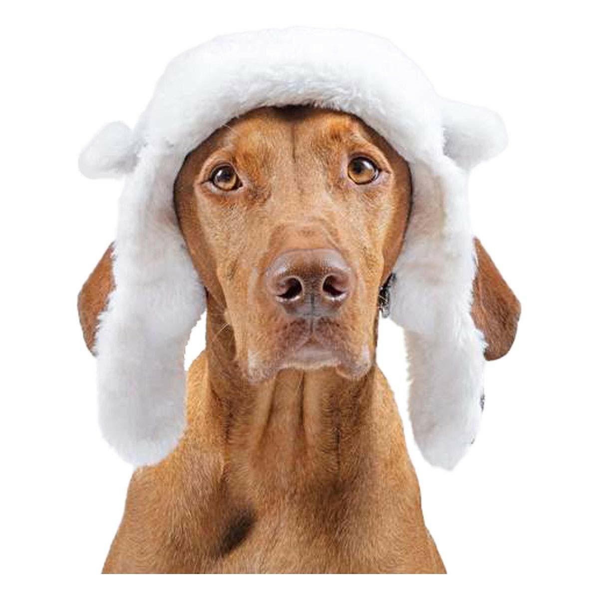 Arctic Air Dog Hat Dog Vests