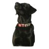 Asd Reversible Dog Collar Collars & Leashes