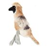 Bird Calls Dog Toy Dog Plush Toys