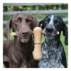 Bully Stick Holder Interactive Dog Toys