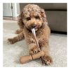 Bully Stick Holder Interactive Dog Toys