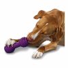 Busy Buddy Chuckle Dog Toy Dog Chew Toys