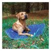 Camp Dog Bed Pet Beds & Pads