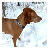 Cascade Dog Collars Collars & Leashes