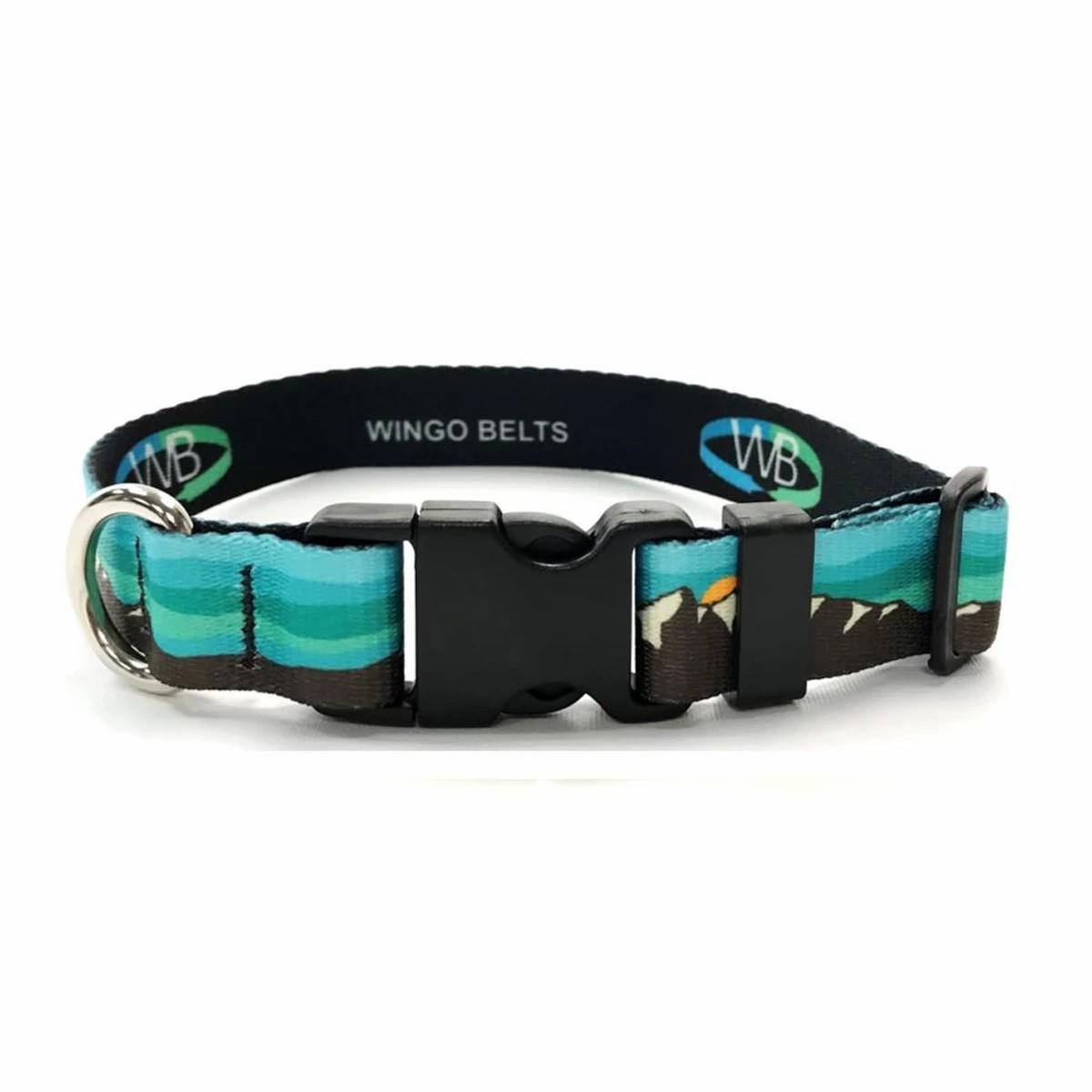 Cheeky Wingo Dog Collar Collars & Leashes