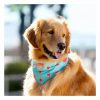 Cooling Bandana Dog Vests