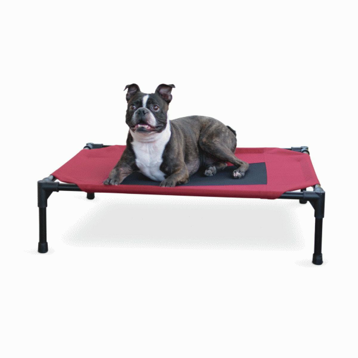 Creative Solutions Elevated Pet Bed Pet Beds & Pads