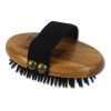 Curry Brush Pet Brushes & Trimmers