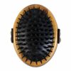 Curry Brush Pet Brushes & Trimmers