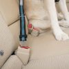 Direct To Seat Belt Tether Collars & Leashes