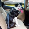 Dog Car Harness Collars & Leashes