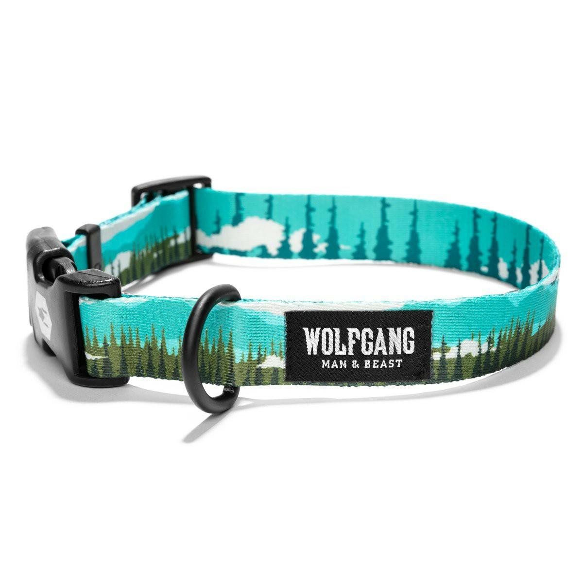 Dog Collar Collars & Leashes