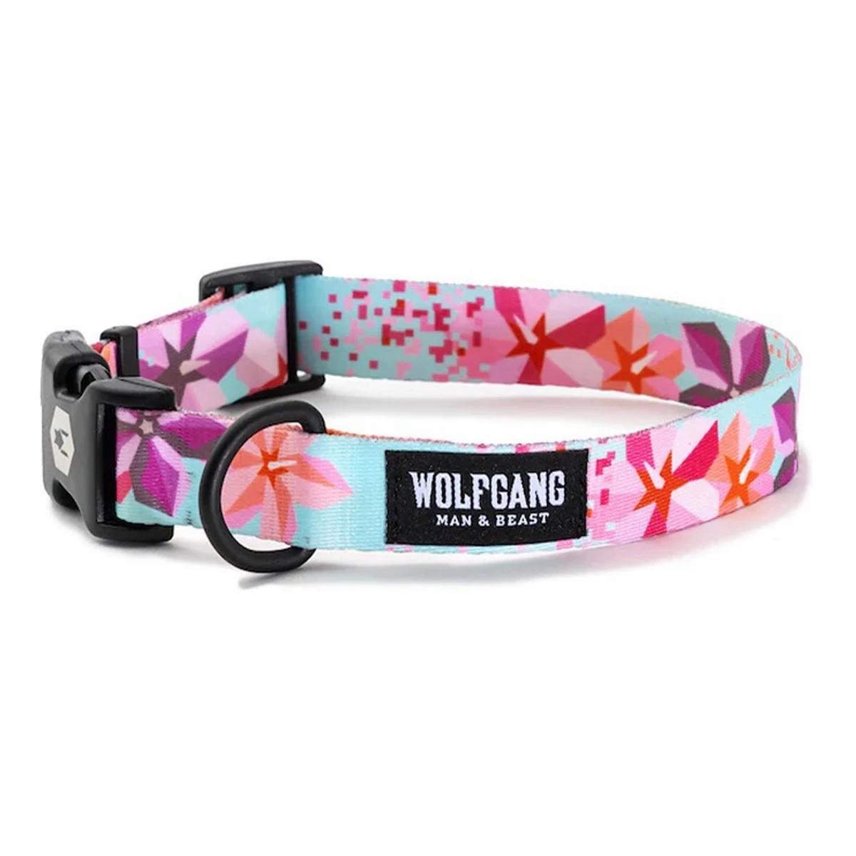 Dog Collar Collars & Leashes