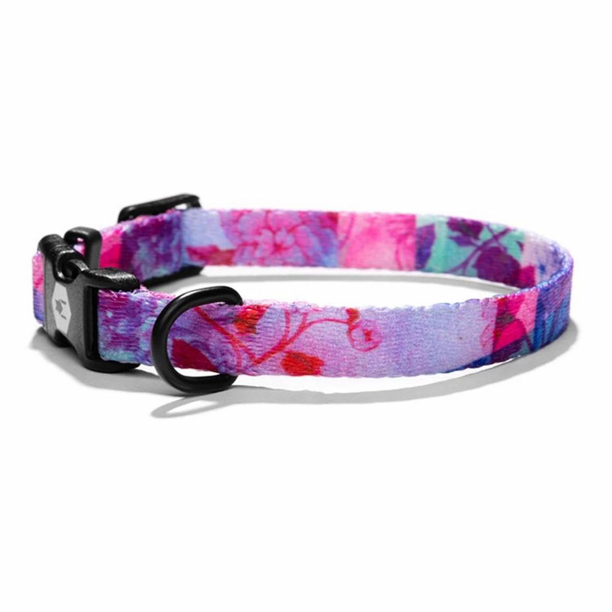 Dog Collar Collars & Leashes