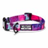 Dog Collar Collars & Leashes