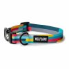 Dog Collar Collars & Leashes