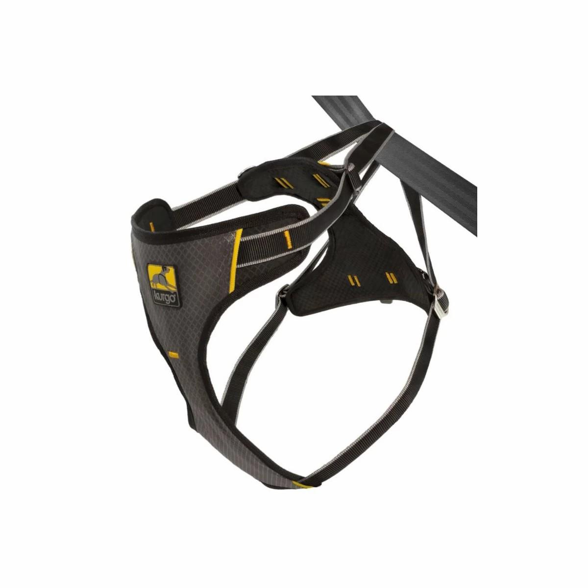 Dog Harness Collars & Leashes