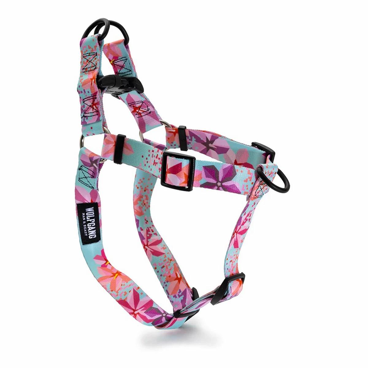 Dog Harness Collars & Leashes