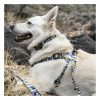 Dog Harness Collars & Leashes