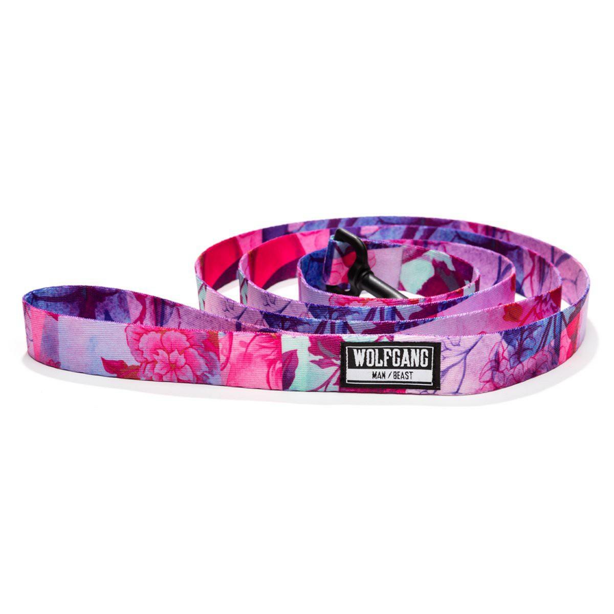 Dog Leash Collars & Leashes