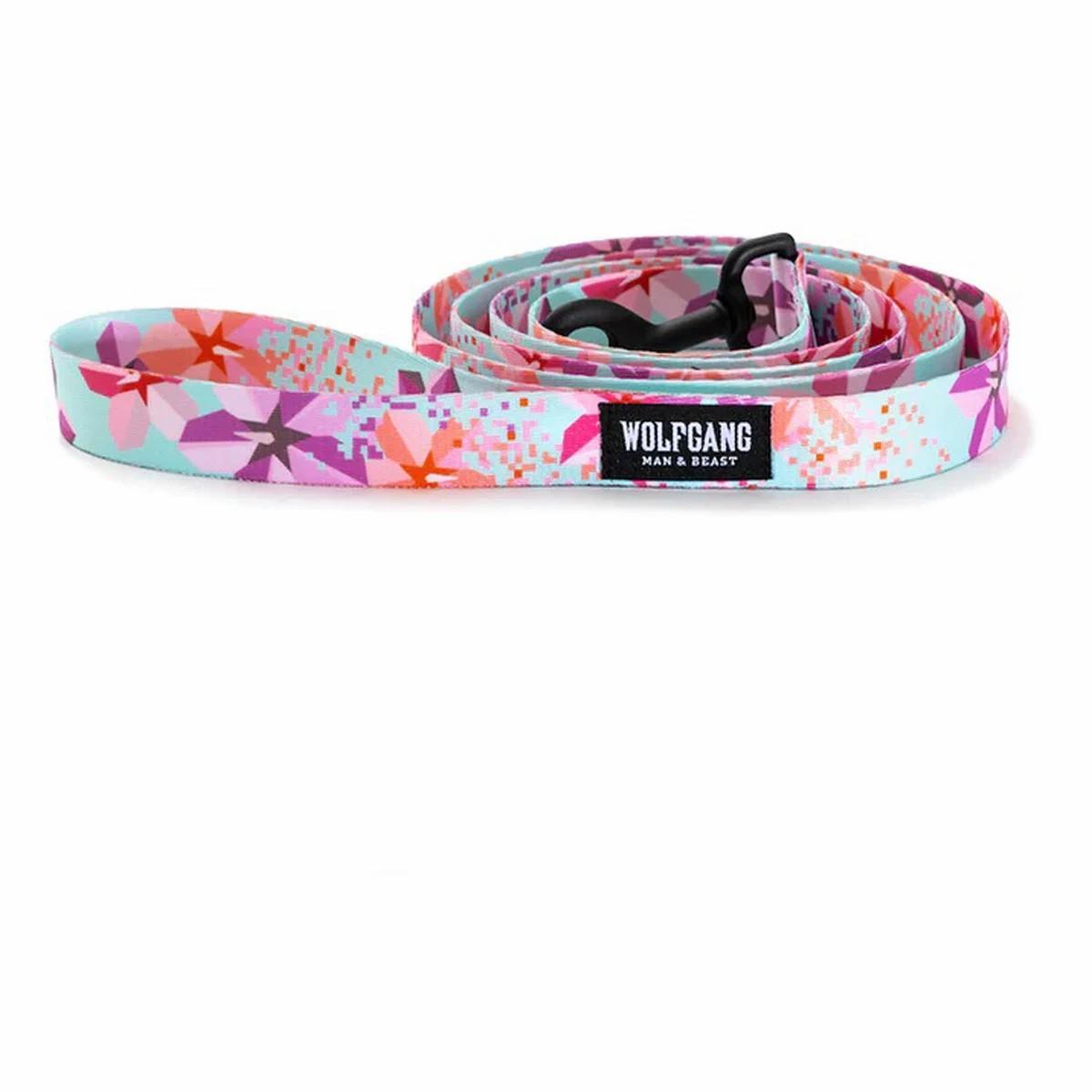 Dog Leash Collars & Leashes