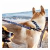 Dog Leash Collars & Leashes