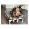 Dream Chaser Deluxe Dog Bed Pet Beds & Pads