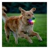 Glowstreak Wild Led Ball Dog Toy Dog Fetch Toys