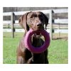 Goat Sport Ring Dog Toy Dog Chew Toys