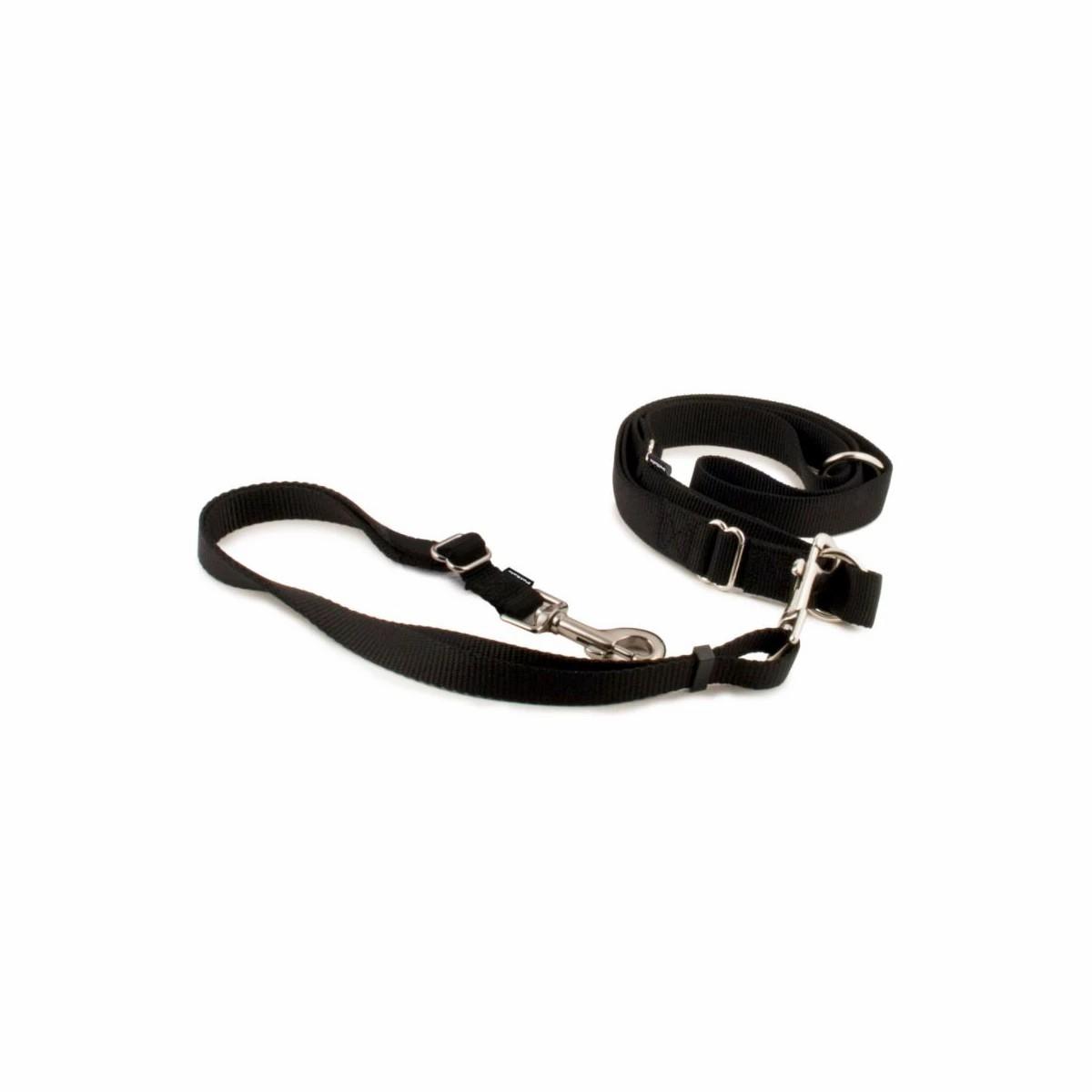 Hands-Free Leash Collars & Leashes