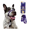 Heather’s Heroes The Sidekick Dog Lead Collars & Leashes