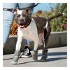 Hot Pavement Cooling Boots Dog Boots