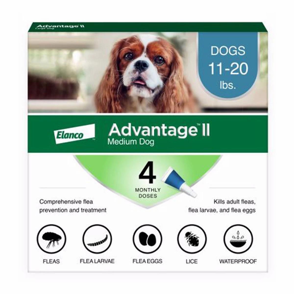 Ii 4 Month Flea Prevention Flea & Tick Prevention