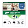 Ii 4 Month Flea Prevention Flea & Tick Prevention