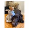 Jackalope Dog Toy Dog Plush Toys