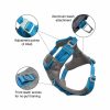 Journey Air Harness Collars & Leashes