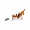 Kibble Chase Roaming Treat Dropper Bowls & Feeders