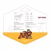 Minnesota Gophers Dog Harness Collars & Leashes