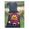 Minnesota Gophers Dog Harness Collars & Leashes