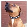 Natural Control Dog Collar Collars & Leashes