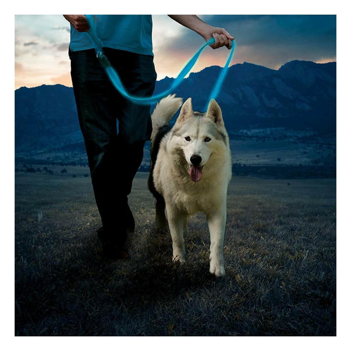 Nitedog Rechargeable Dog Leash Collars & Leashes