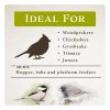 Perfect Balance Bird Food Bird Seed