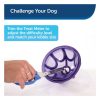 Premier Busy Buddy Kibble Nibble Dog Toy Dog Fetch Toys