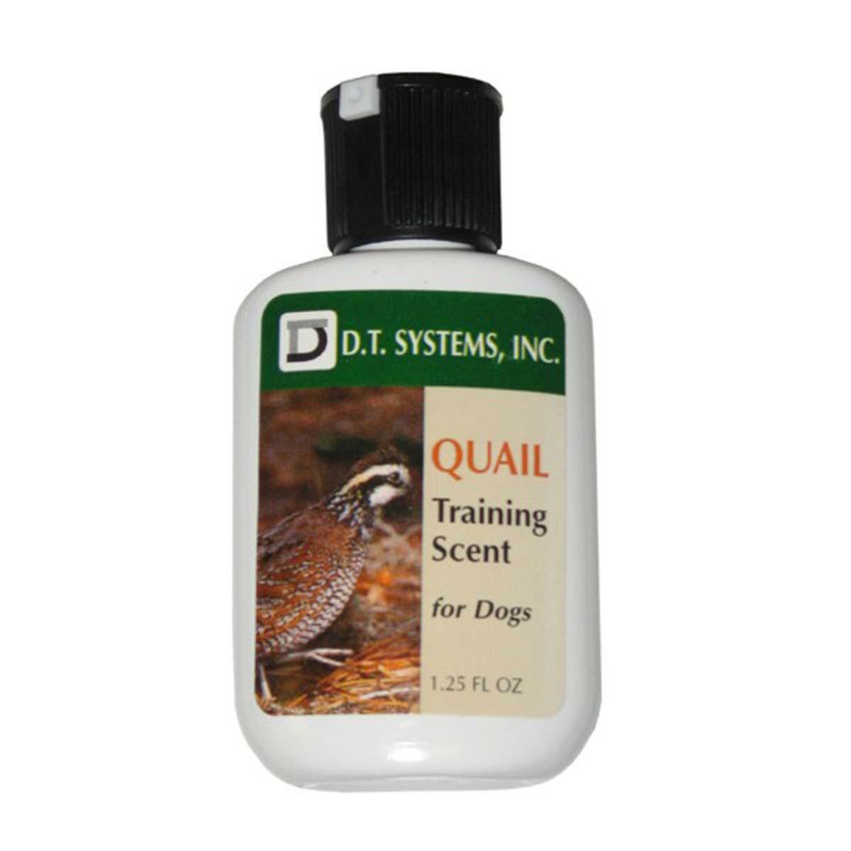 Quail Training Scent Dog Training