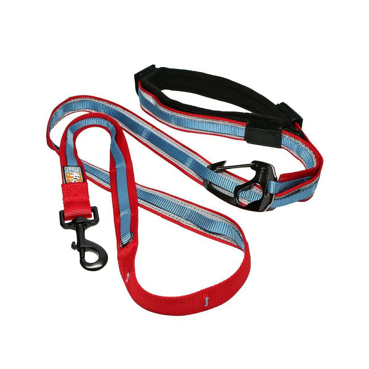 Quantum 6-In-1 Dog Leash Collars & Leashes