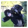 Rope Body Gorilla Dog Toy Dog Plush Toys