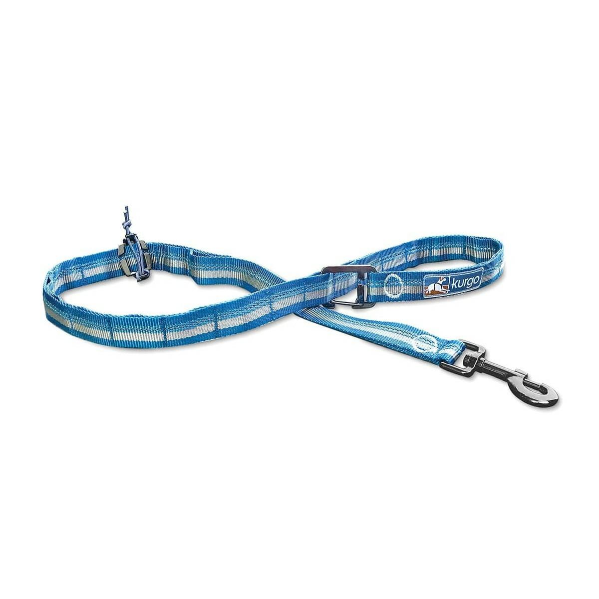 Rsg Dog Stub Leash Collars & Leashes