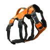 Saranac Dog Backpack Collars & Leashes